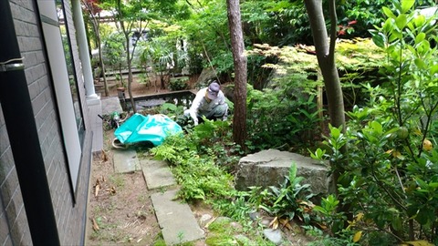 P_20170613_084144_vHDR_On_R