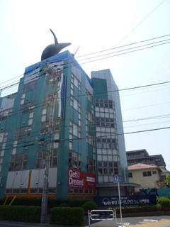 P1150141
