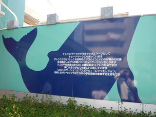 P1150164