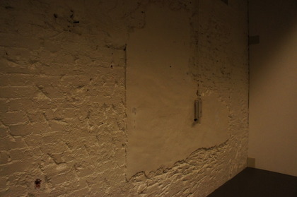 DSC06538