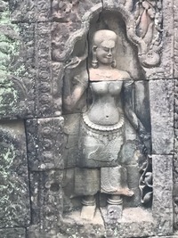 IMG_1720