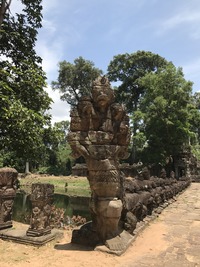 IMG_1774