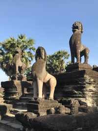 IMG_1948