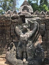 IMG_1781