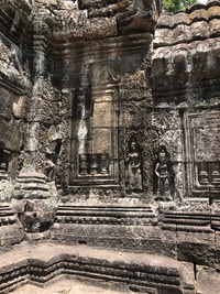 IMG_1779