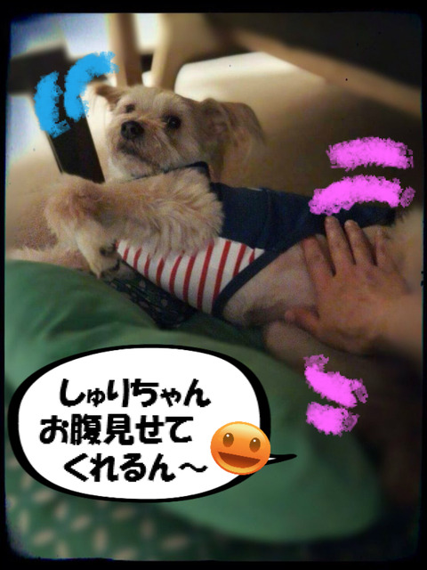 BlogPaint