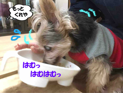 BlogPaint
