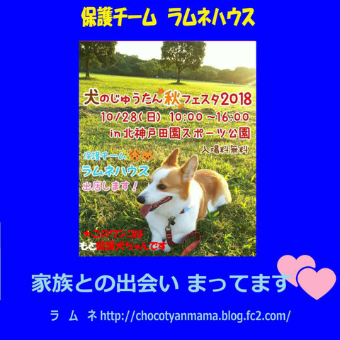 BlogPaint