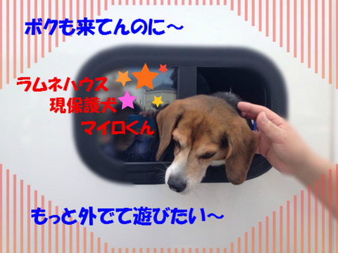 BlogPaint
