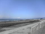 200801252.jpg