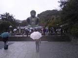 20080111.jpg