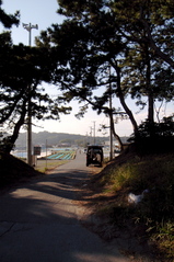鹿島
