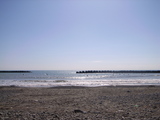 smallRIMG0011