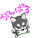 ��ĥ�륢�˥�