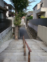 3e25ae11.jpg
