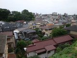 4242699f.jpg