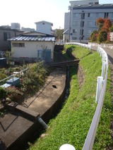 6877157e.jpg