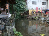 9ef06bd8.jpg