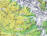 ad82e3e6.jpg