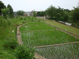 ddc906f5.jpg