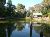 e0079003.jpg