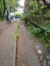 e97206bd.jpg
