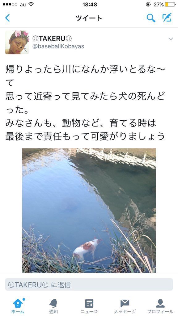 今日保存した最高の画像を転載するスレ 856 [無断転載禁止]©bbspink.com	YouTube動画>3本 ->画像>799枚 