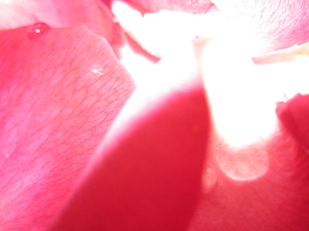 ��4