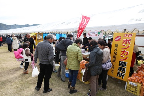 鯛伊食祭_グルメ