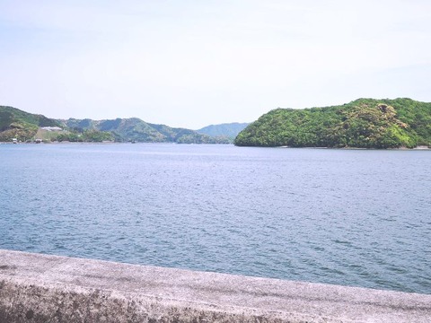 DSCN1047