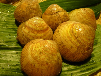 P1080144