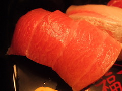 maguro