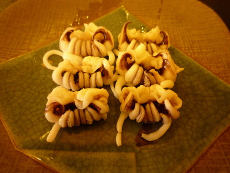 geso1
