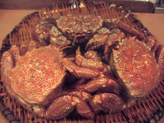 kani