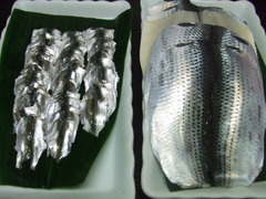 d25af493.JPG