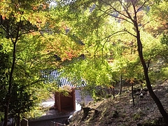 満福寺の紅葉