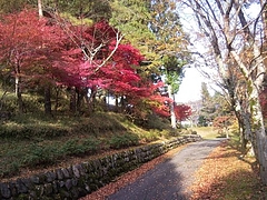 満福寺の紅葉２