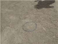 s-dc0903300