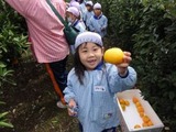 60a1b687.jpg