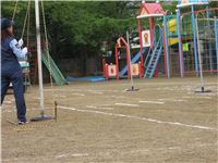 s-dc061169