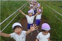 s-dc062203