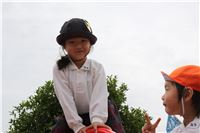 s-dc050708