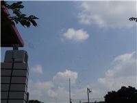 s-dc0922244