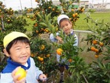 dcb444a7.jpg