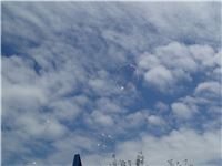 s-dc0903278