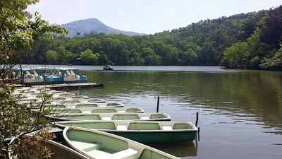 10-140504宝ヶ池山間園路
