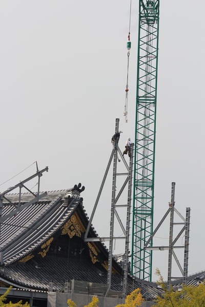 5-151009御影堂門仮設素屋根解体工事