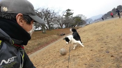 2-140101変わりない元旦