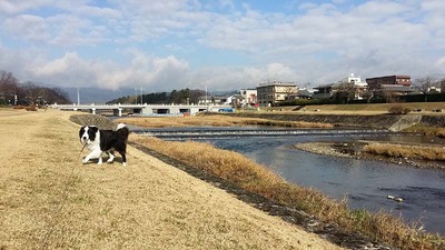 3-2016年元旦