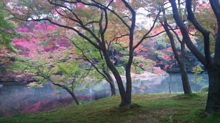 101114お浄土の植物園